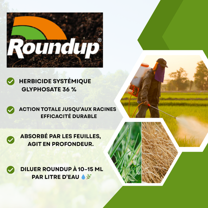 Herbicide Systémique Concentré pour Élimination Totale des Mauvaises Herbes
